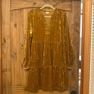 Velvet Dress